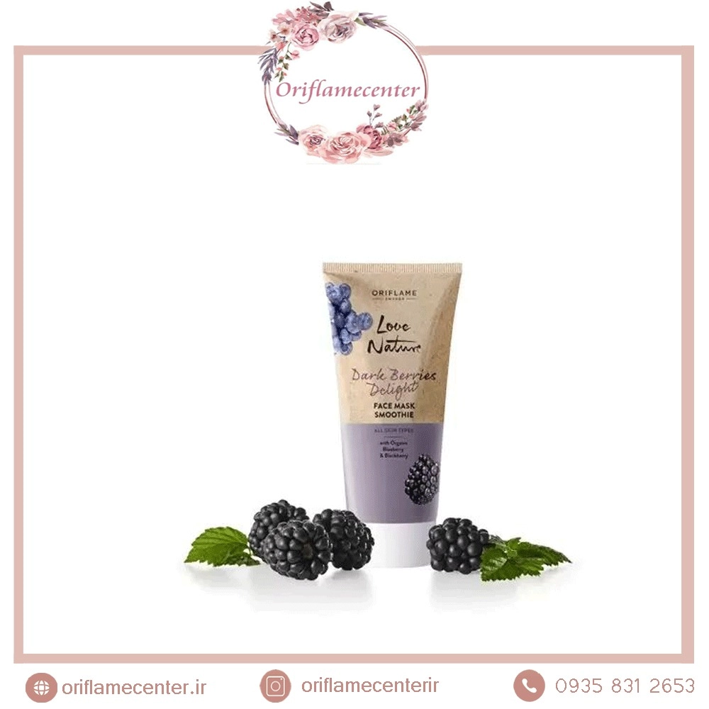 ماسک صورت بلوبری و بلک بری لاونیچر 41694