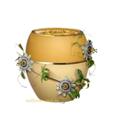 بالم تندر کر محافظت کننده و تثبیت کننده عطر اوریفلیم با عصاره پشن فروت 3615۳