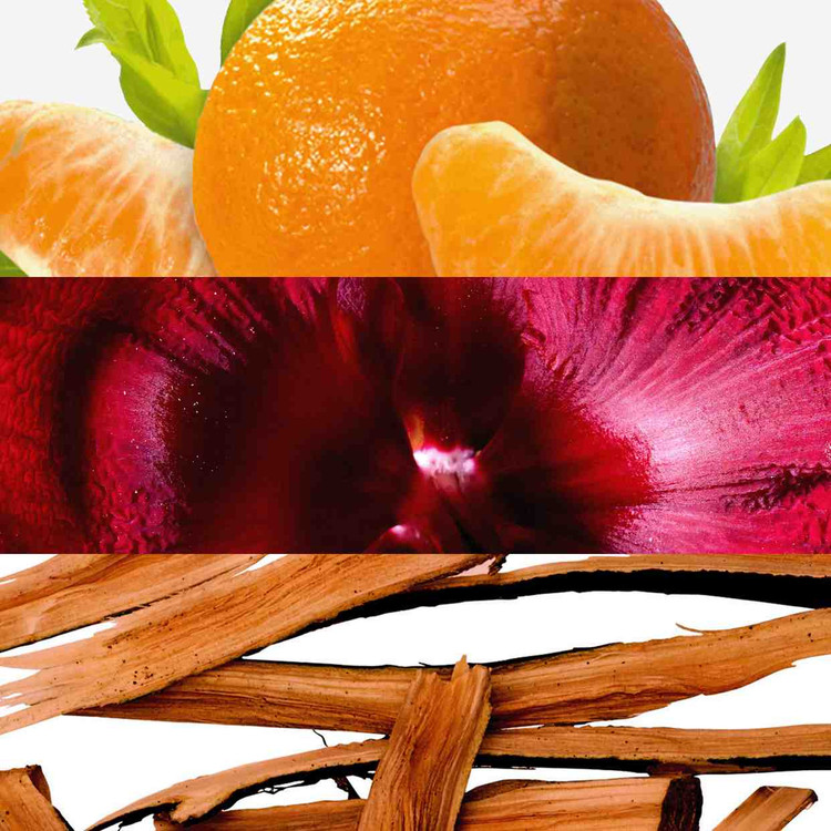 ادوتویلت زنانه دیواین رویال _ 4671۷