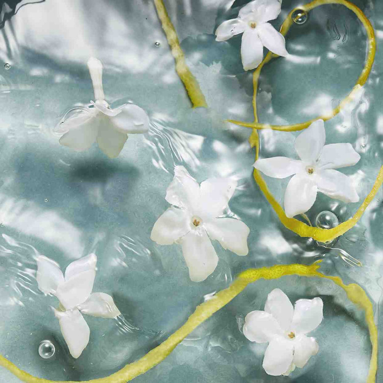 مام دئودرانت عطری زنانه نوردیک واترز _ 4444۳