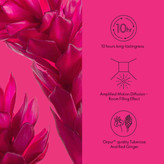 پرفیوم زنانه آل اور ناتینگ امپلیفاید اوریفلم _ 4606۰