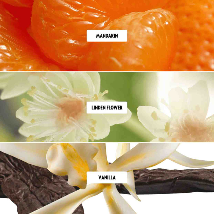 ادوتویلت اکلت آمور اینتنستی 46062