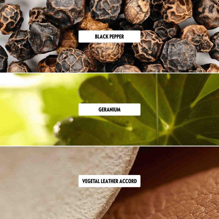 ادوتویلت اکلت توجورس اینتنست 46063