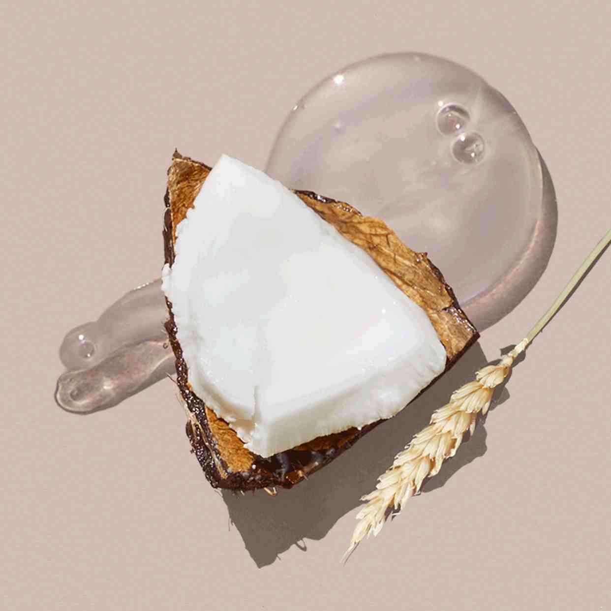 شامپو موی خشک و آسیب دیده نارگیل و گندم لاونیچر (۵۰۰میل ) 4129۸