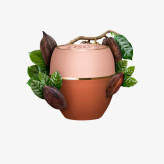 بالم تندرکر کره کاکائو اوریفلم47436