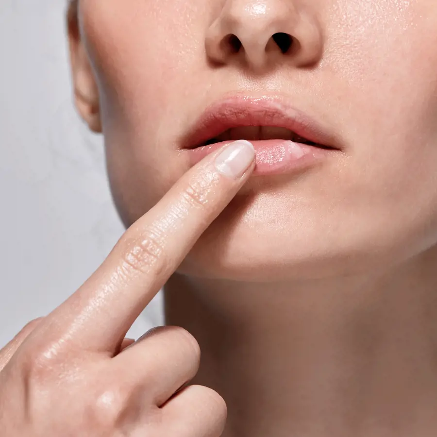 بالم تندرکر کره کاکائو