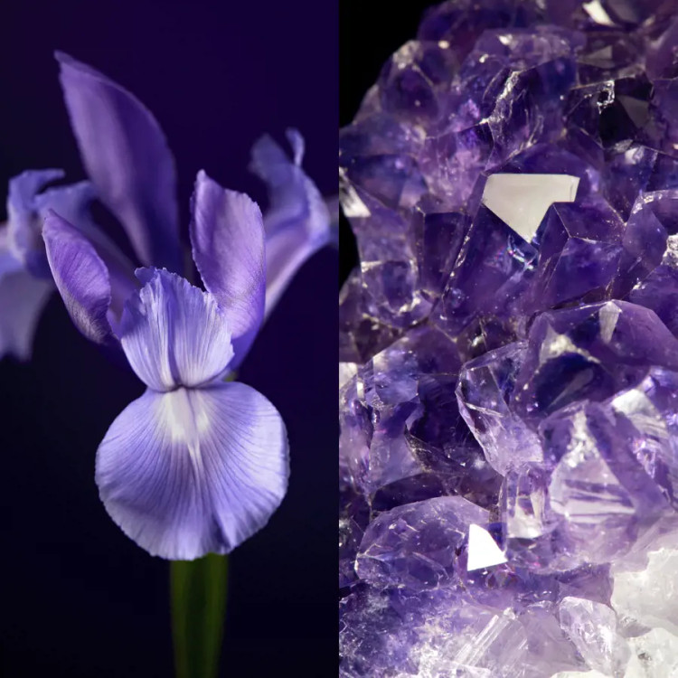 کرم روز سفت کننده رویال ولوت 47005 _۵۰میل