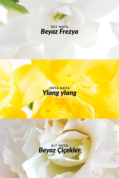 مام رول ضد تعریق و دئودورانت زنانه Avon Pur Blanca آوون 50 میل