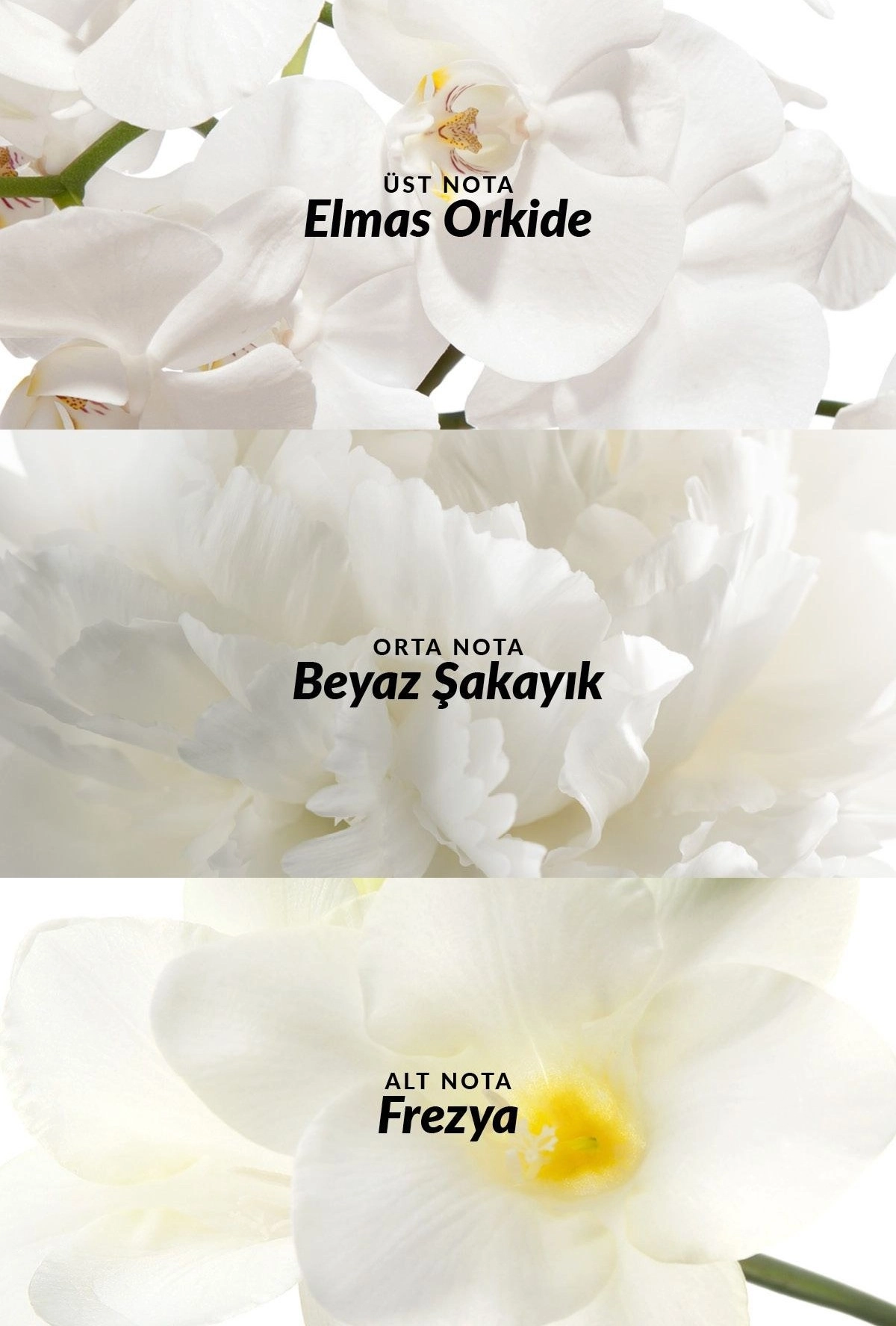 مام رول ضد تعریق AVON مدل Incandessence حجم ۵۰ میل