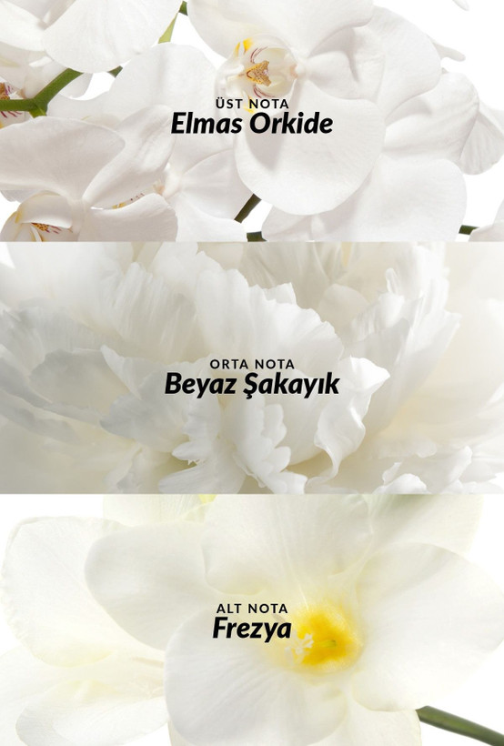 مام رول ضد تعریق AVON مدل Incandessence حجم ۵۰ میل