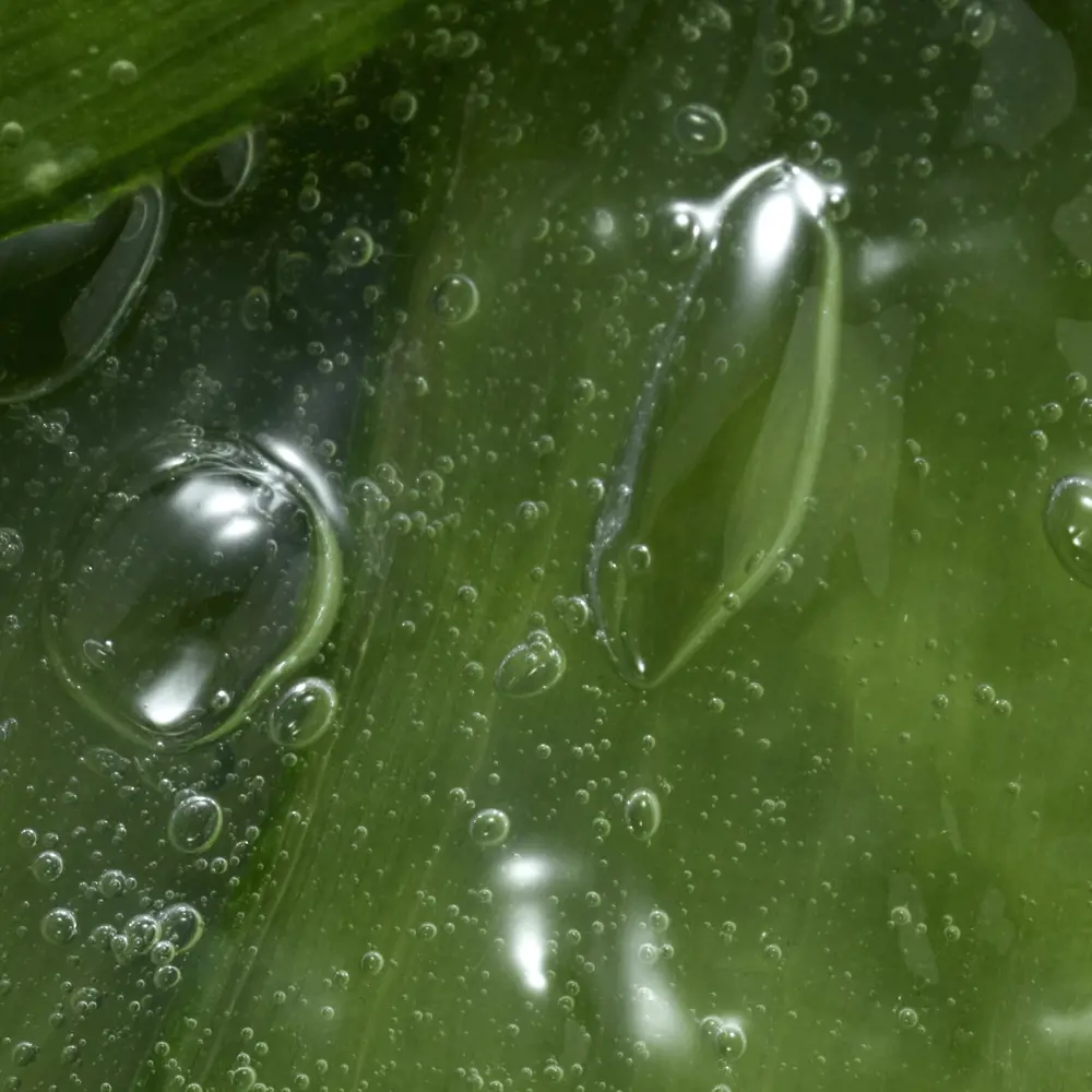 ژل اصلاح صاف کننده با آلوئه ورا فمینله ۴۶۳۶۷  _ ۱۵۰میل