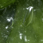 ژل اصلاح صاف کننده با آلوئه ورا فمینله ۴۶۳۶۷ _ ۱۵۰میل