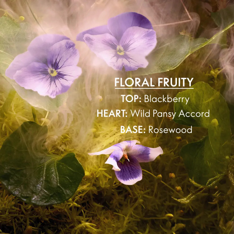 ادوتویلت زنانه الوی میدنایت مجیک _۷۴۹۹۵_۵۰میل