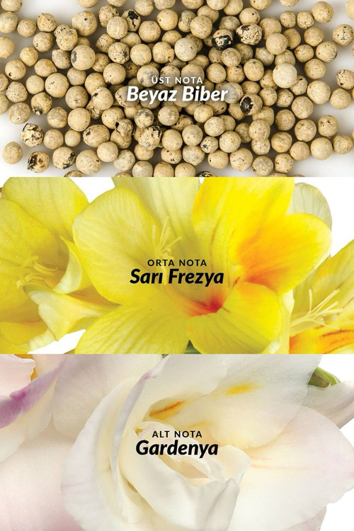 ادوپرفیوم زنانه اورجینال پرسیو آونAvon_50ml