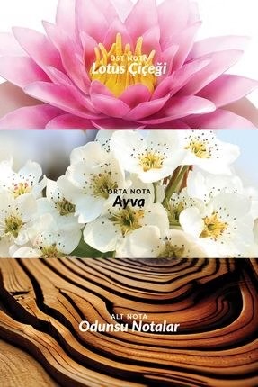 ادوپرفیوم زنانه اینکاندسنس لوتوس اورجینال آونAvon _ 50ml