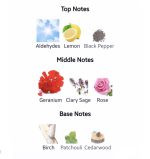 عطر مردانه دبونیر جنتل وود 42462_ 75ml