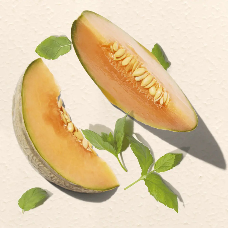 کرم پا مرطوب کنتده و طراوت بخش خربزه و نعنا فیت آپ ۴۶۹۷۵ _ ۷۵میل