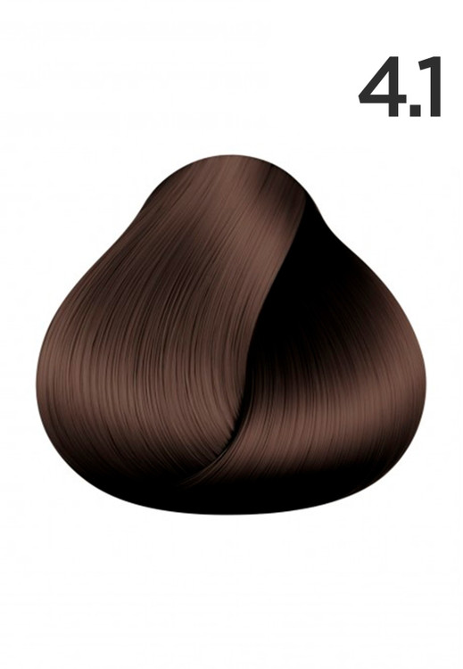 Ashy chestnut _ 3286 _ 4/1