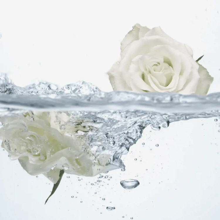 شوینده طراوت بخش ناحیه تناسلی با عصاره و رایحه گل رز 47099 _ 300میل