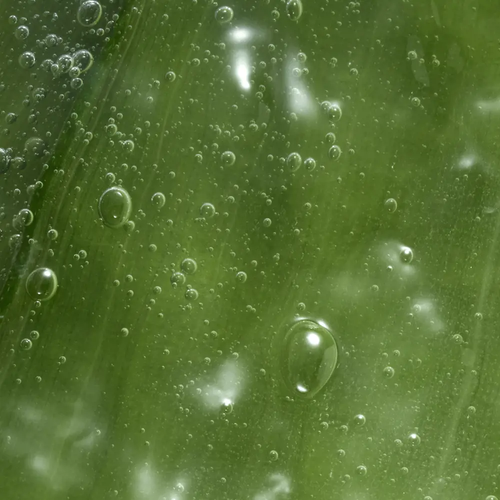 ژل شستشوی ملایم فمینله با عصاره پنبه 46964 _ 300میل